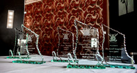 2014 Ski Awards