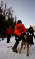 Canadian Avalanche Rescue Dog Assosiation - C.A.R.D.A
