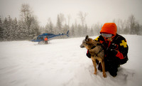 Canadian Avalanche Rescue Dog Assosiation