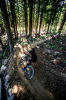 Chris Clark, Carter Nieuwesteeg