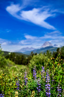 2019_07_07_Scenic_ (8 of 18)