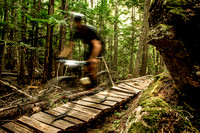 Chris Clark